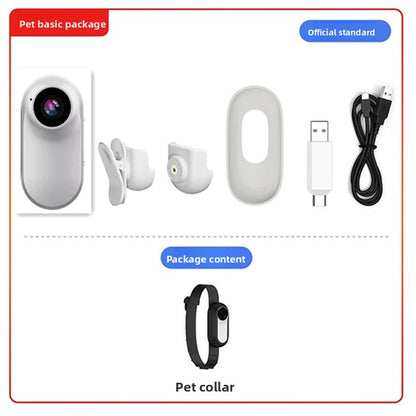 Zgarda monitorizare Inregistrare claitate inalta 64 GB