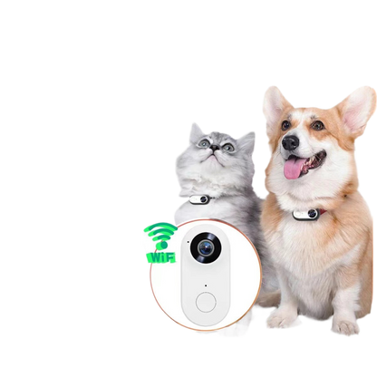 Zgarda monitorizare Inregistrare claitate inalta 64 GB