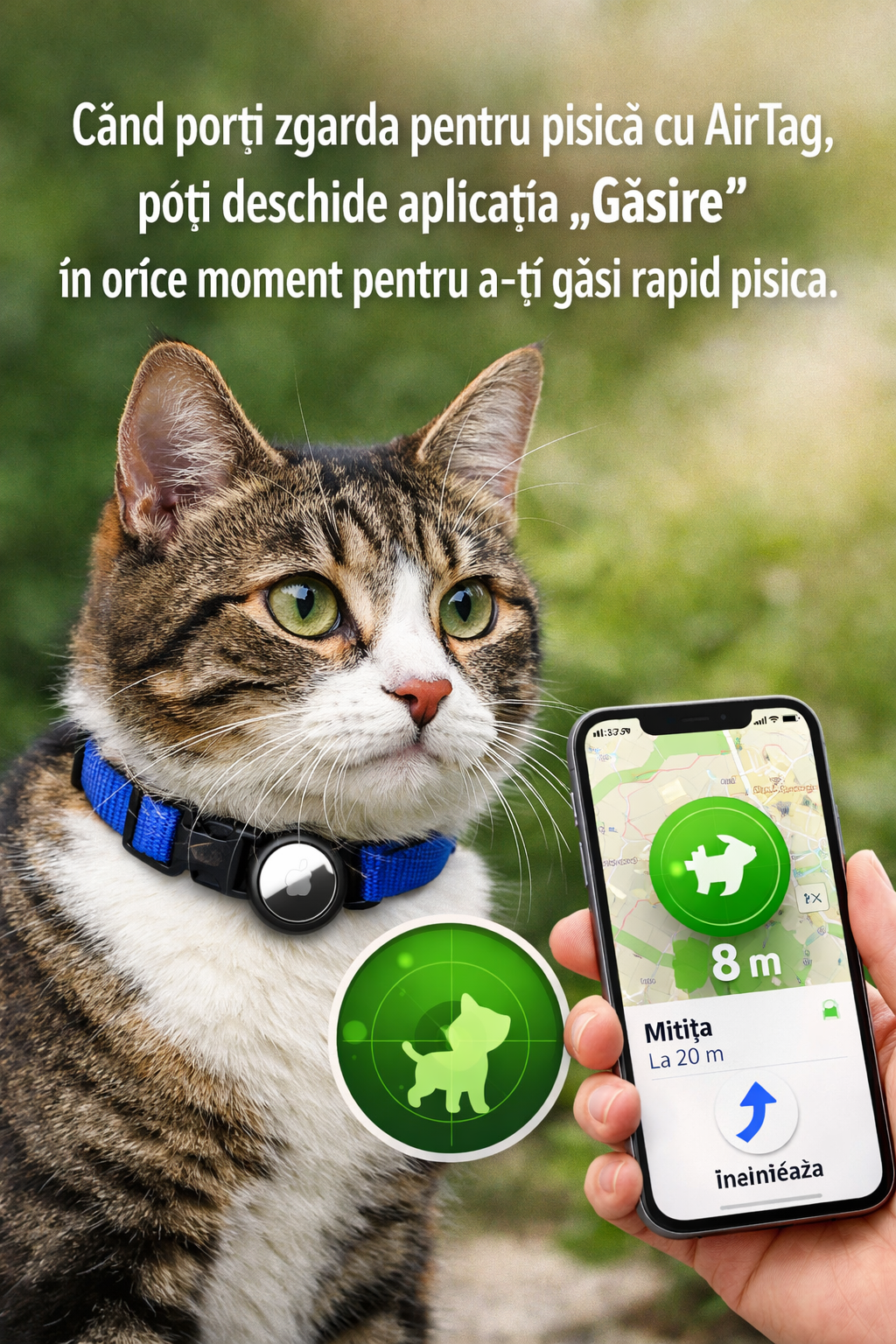 Zgardă Anti-Pierdere cu Suport AirTag pentru Pisici - Siguranță și Stil